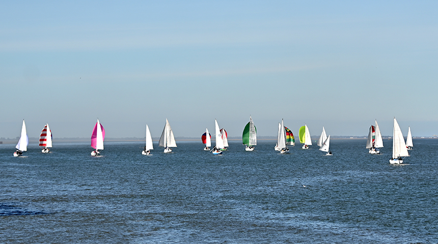 regata dia de la armada