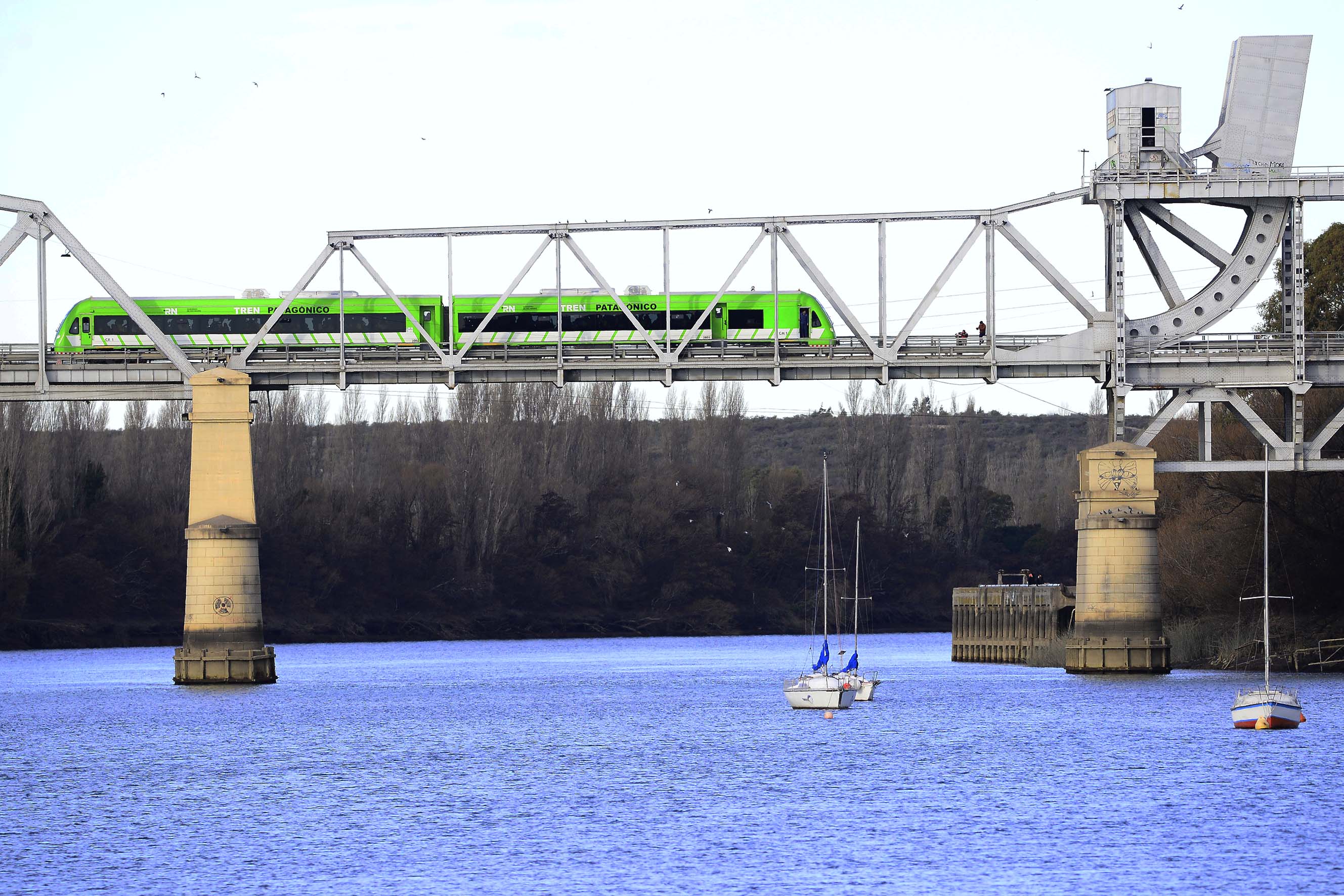 puente viedma patagones