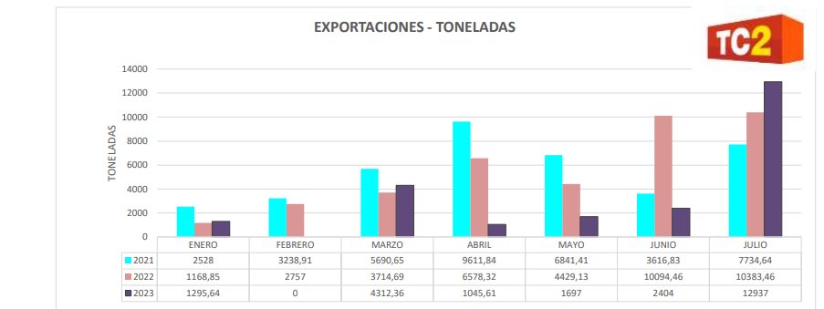 TC2 MAR DEL PLATA CIFRAS