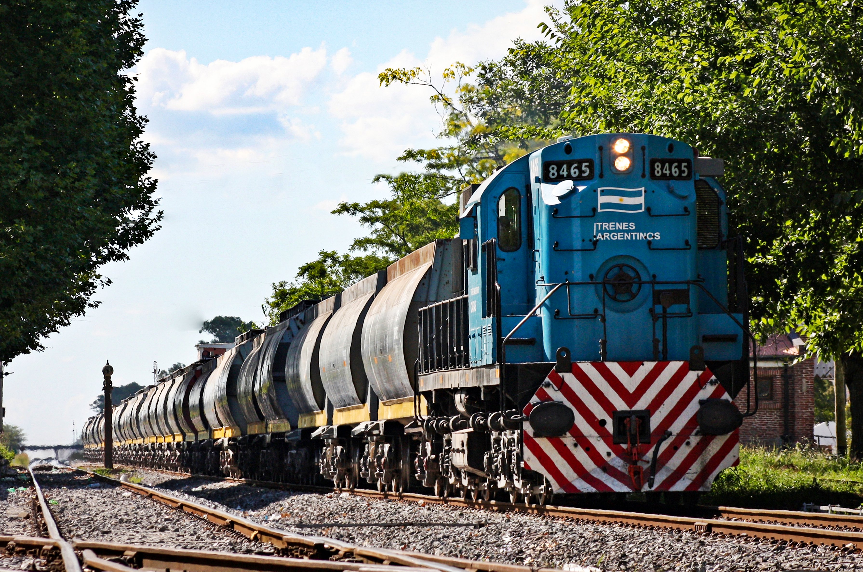 Trenes Argentino Cargas