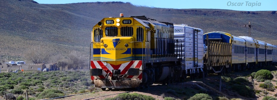 tren bariloche