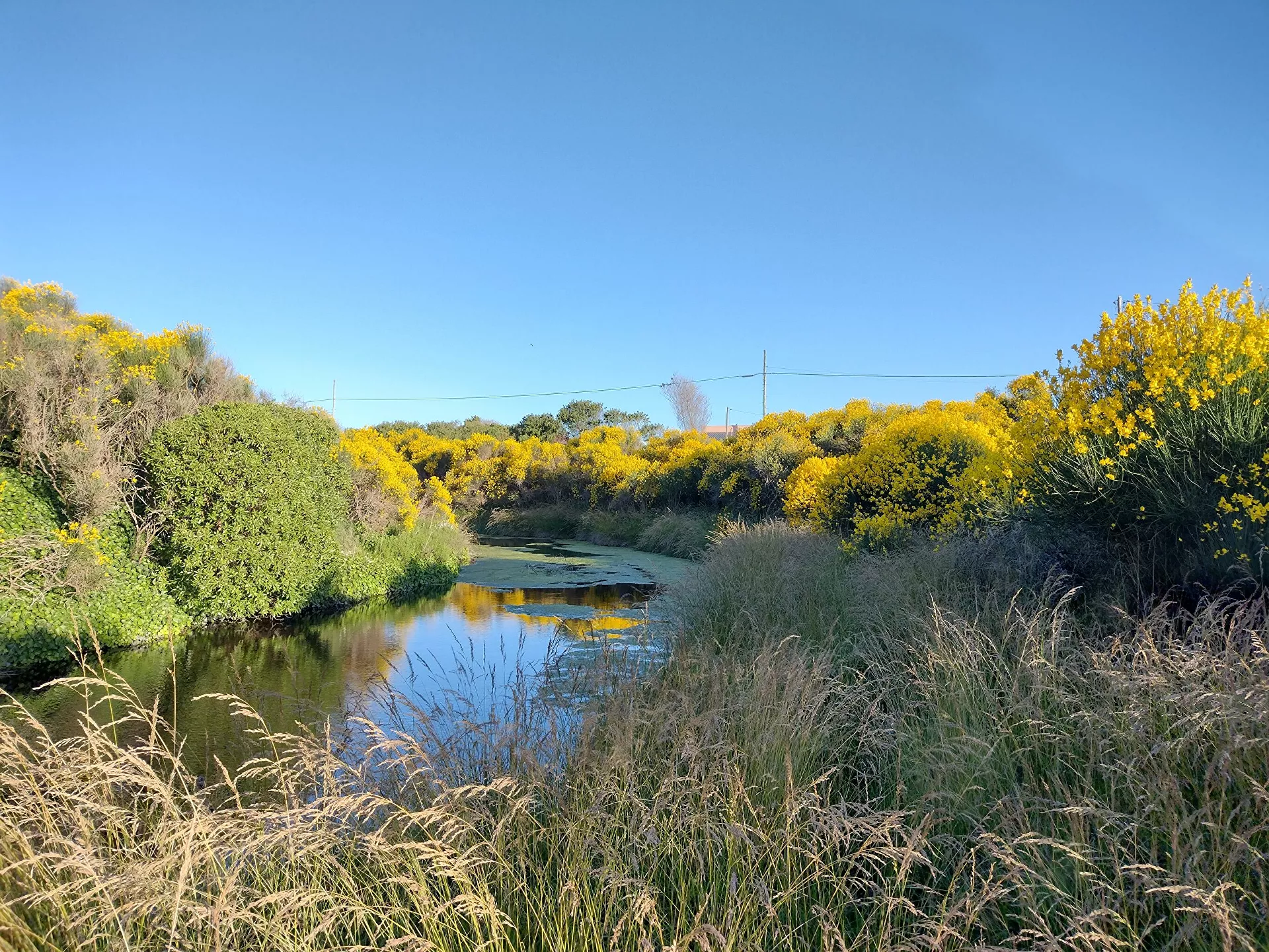 arroyo la tigra