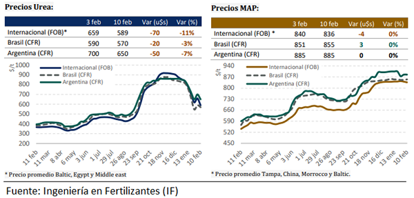 grafico bcr