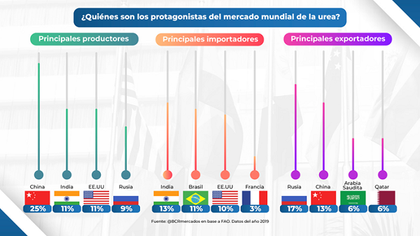 grafico bcr