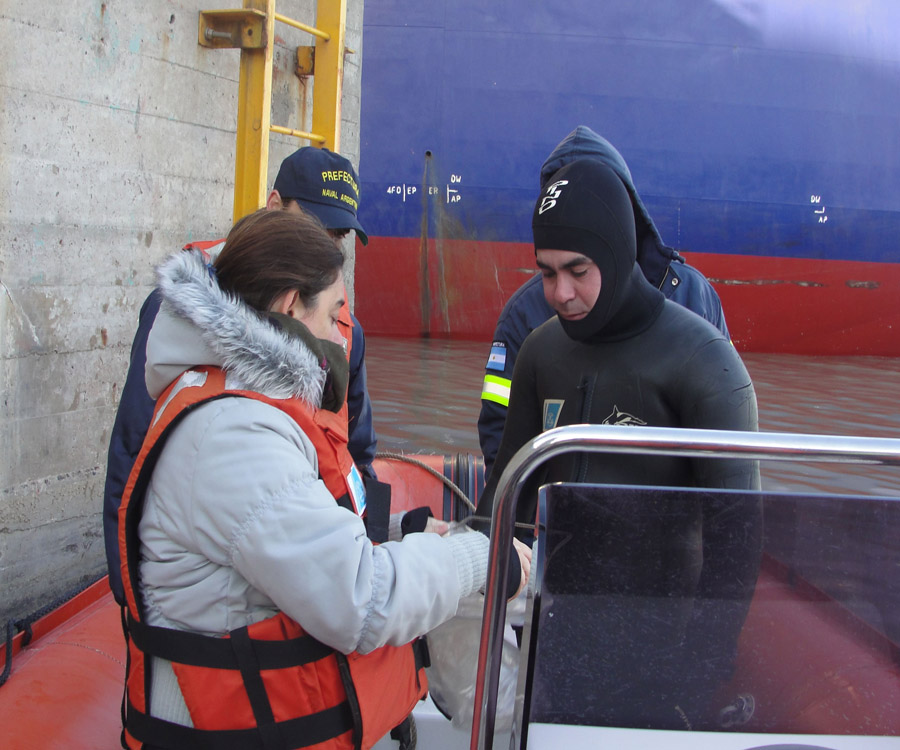 Desarrollo de un Plan de Manejo de la Ostra del Pacífico en el sur bonaerense