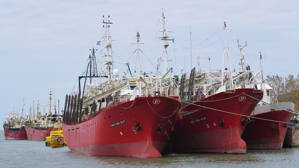 La pesca se transformó en uno de los sectores más dinámicos de la economía