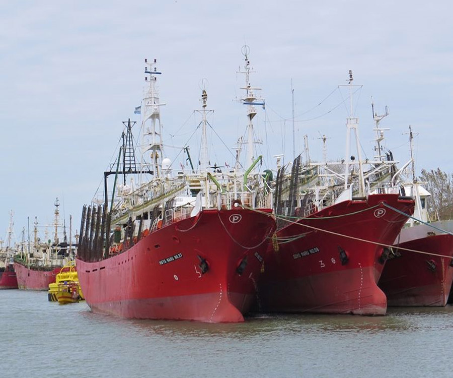 La pesca se transformó en uno de los sectores más dinámicos de la economía