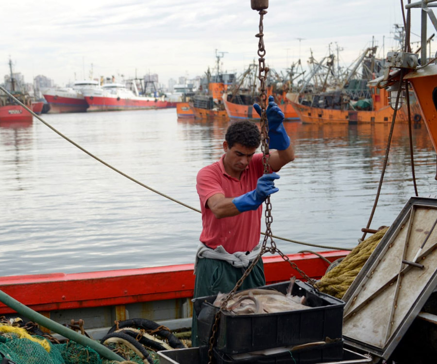 El gobierno disminuyó los derechos de exportación para productos pesqueros