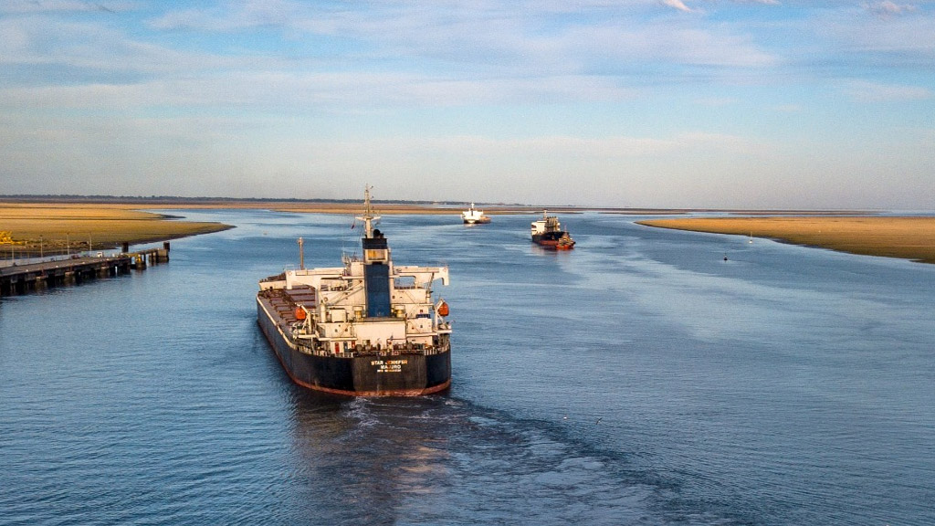 El maíz sigue siendo protagonista del movimiento de granos en Bahía Blanca