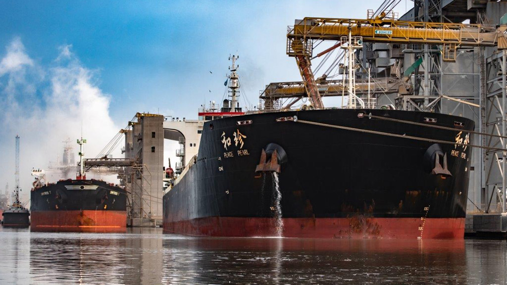 El reinado del maíz ya es indiscutido en el puerto de Bahía Blanca