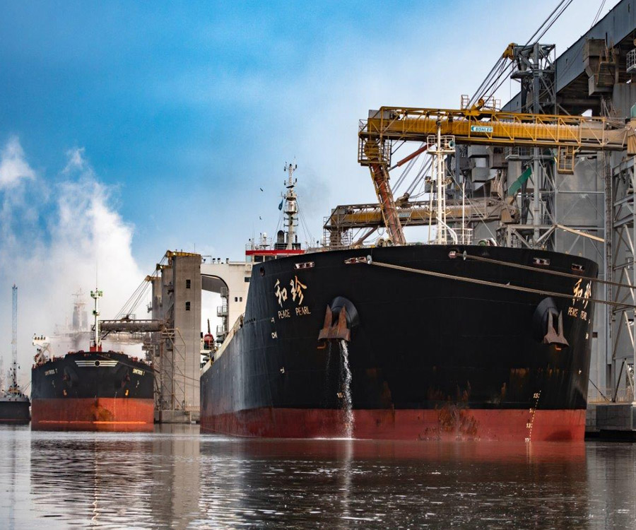 El reinado del maíz ya es indiscutido en el puerto de Bahía Blanca