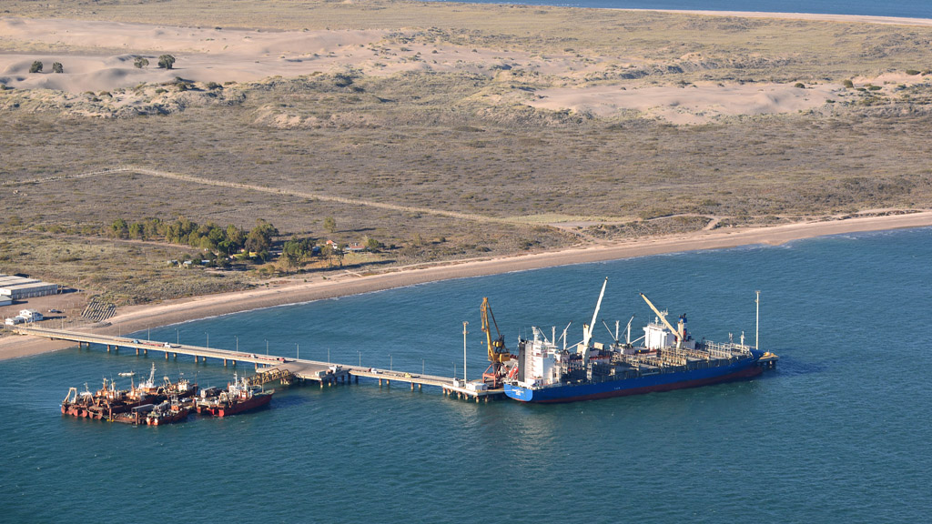 Carreras dijo que la fruta ya no alcanza para mantener vivo el puerto de San Antonio Este