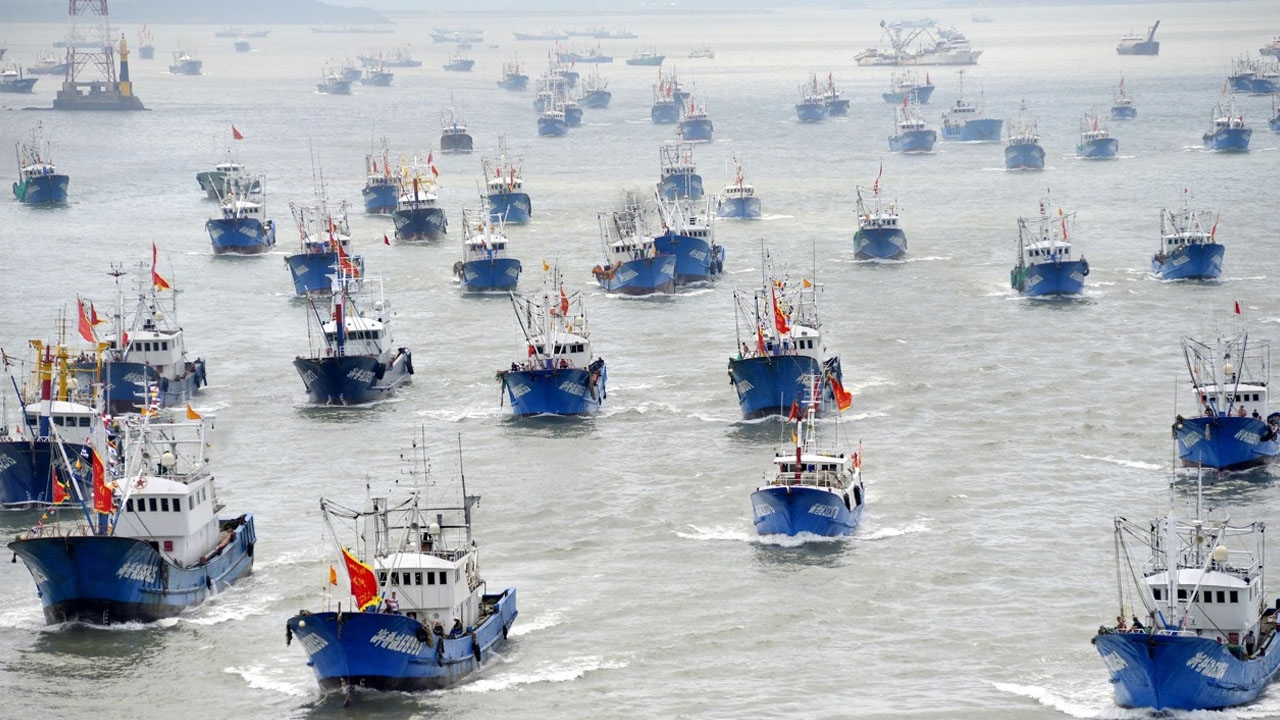 ¿Alguien puede detener a  la flota  pesquera china que arrasa los mares violando todas las reglas?