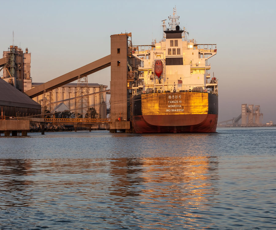 La exportación de cereales creció casi un 40 por ciento en el puerto de Bahía Blanca