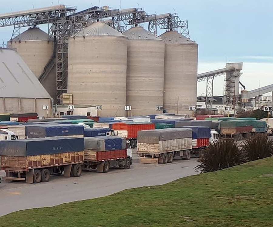 Los puertos de Quequén, Rosario y Bahía Blanca encabezan la demanda de girasol