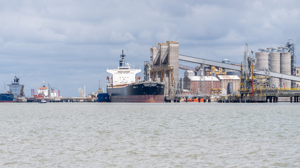 El puerto de Bahía Blanca alcanzó récords operativos históricos en 2021