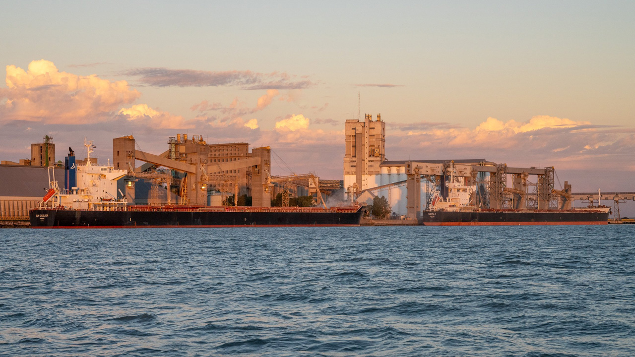 “Hasta 27 dólares”, el premio por tonelada de maíz que paga Bahía Blanca frente a Rosario