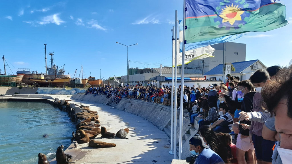 Mar del Plata: está abierto el concurso nacional de ideas para el Nuevo Paseo Banquina Chica