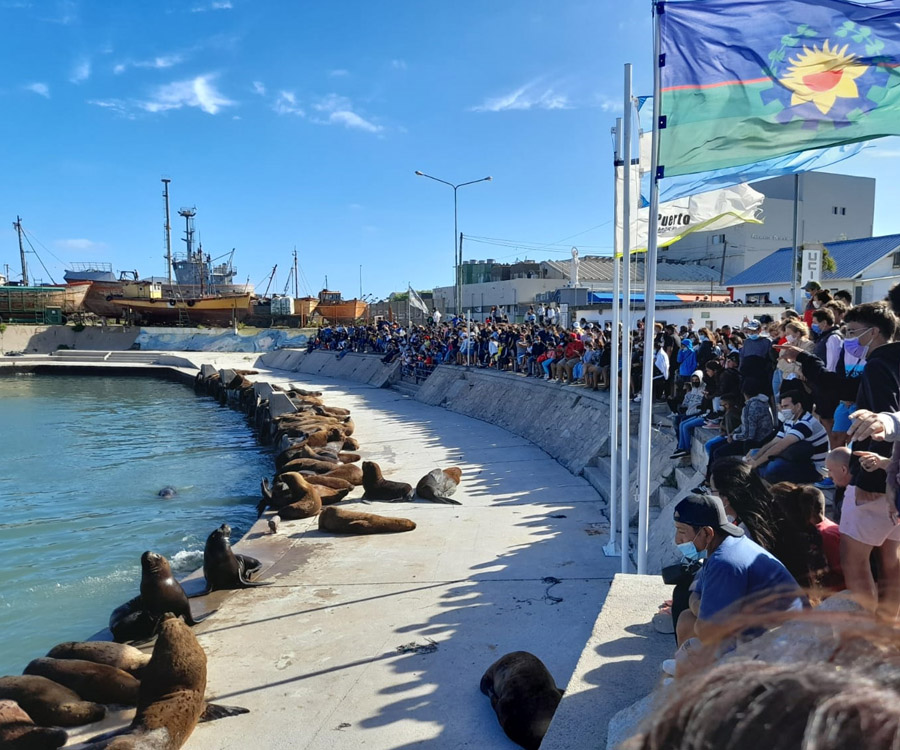 Mar del Plata: está abierto el concurso nacional de ideas para el Nuevo Paseo Banquina Chica