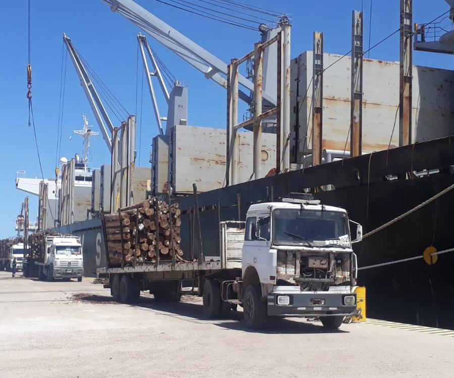 Nueva carga de madera para exportación en Ibicuy