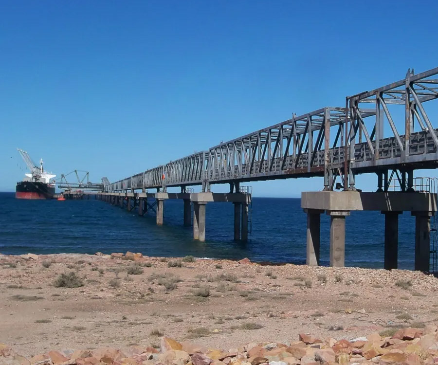 Río Negro: evaluaron la alternativas portuarias para exportar hidrógeno verde