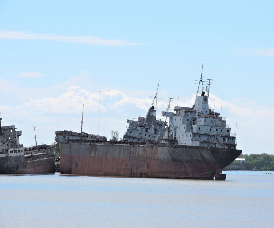 Puerto La Plata: los gigantes que causan problemas en Río Santiago