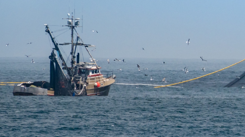 Reunión de la Mesa Cuatripartita de la Pesca en Altura en Puerto Deseado