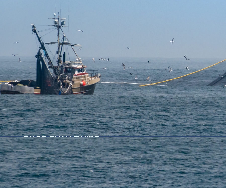 Reunión de la Mesa Cuatripartita de la Pesca en Altura en Puerto Deseado