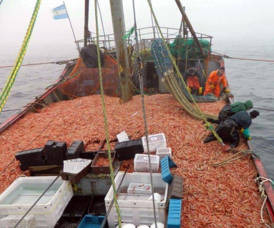 Abren la inscripción para empresas que deseen participar en prospección de langostino