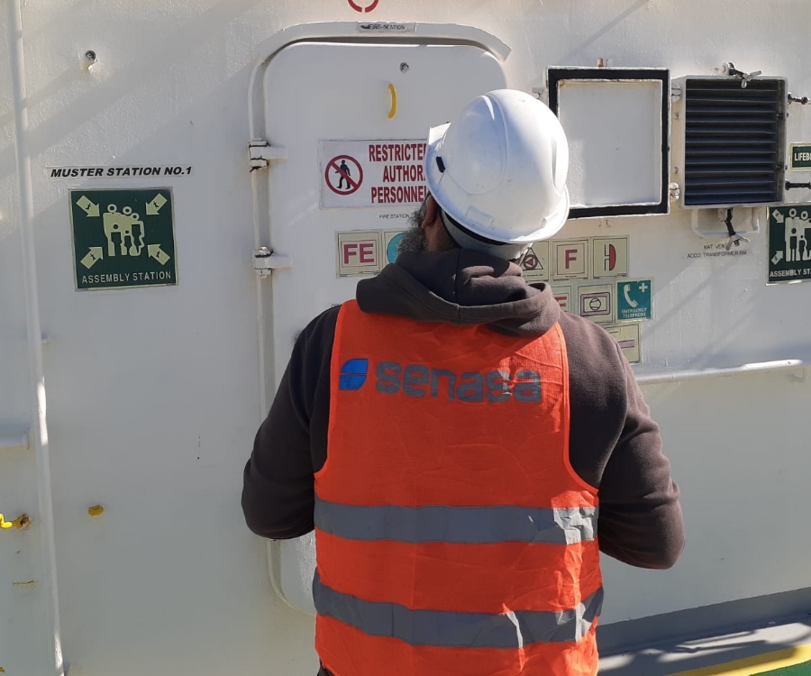 Inspeccionan buques para prevenir ingreso de una plaga en el puerto de Buenos Aires