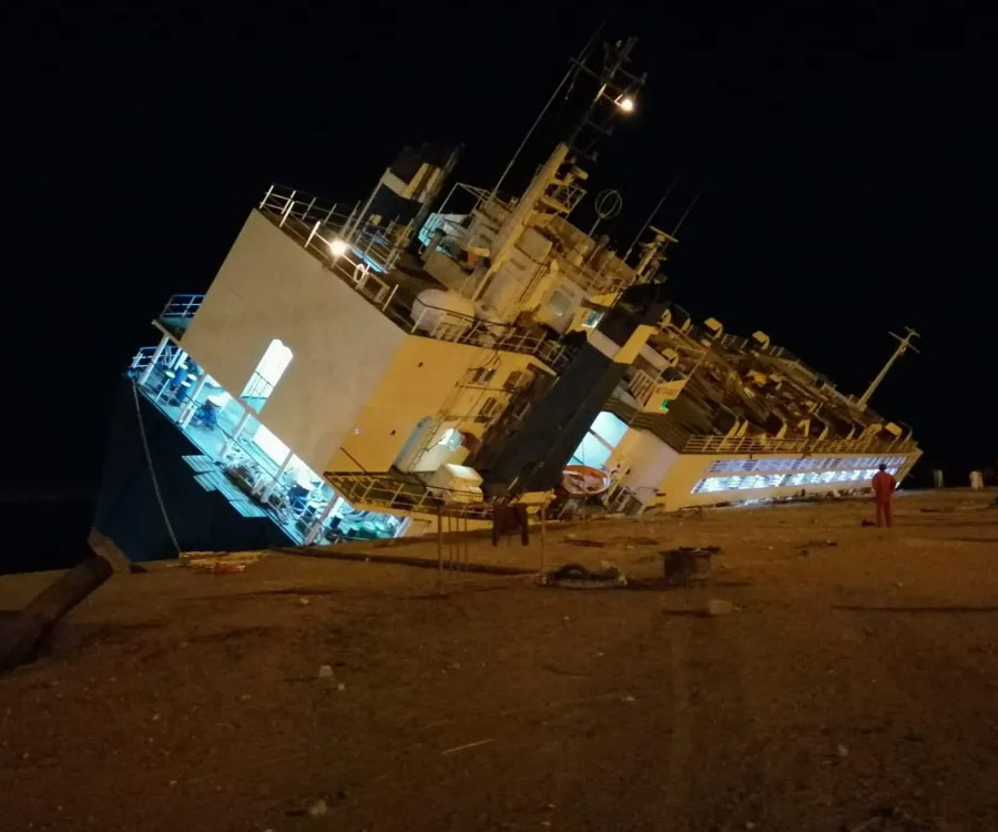 El transporte de ganado ataca de nuevo: muerte y crueldad en alta mar