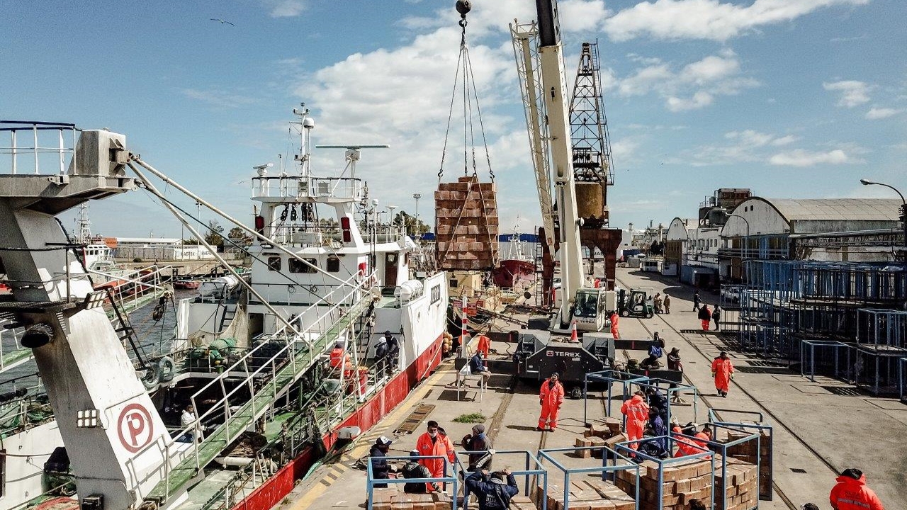 Optimismo en Bahía Blanca por la recuperación de la actividad pesquera en sus muelles