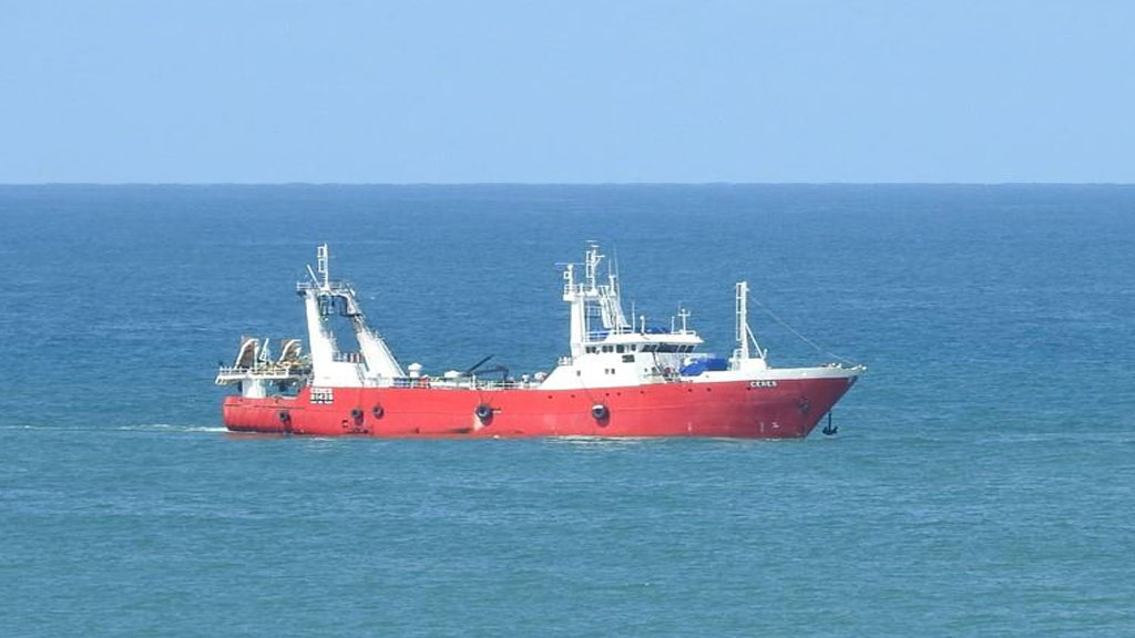 Prohíben por tres meses la pesca de merluza en un área del océano Atlántico