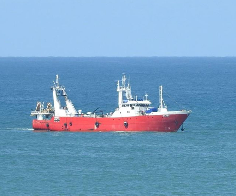 Prohíben por tres meses la pesca de merluza en un área del océano Atlántico