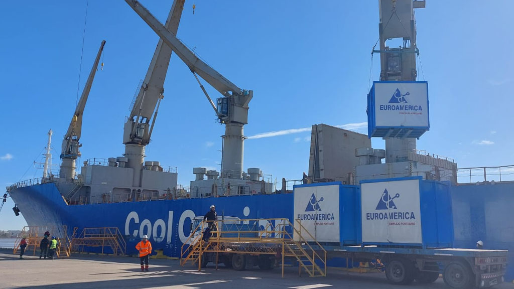 Campana: se concretó la primera exportación de limones a EE.UU. en bodega de buque