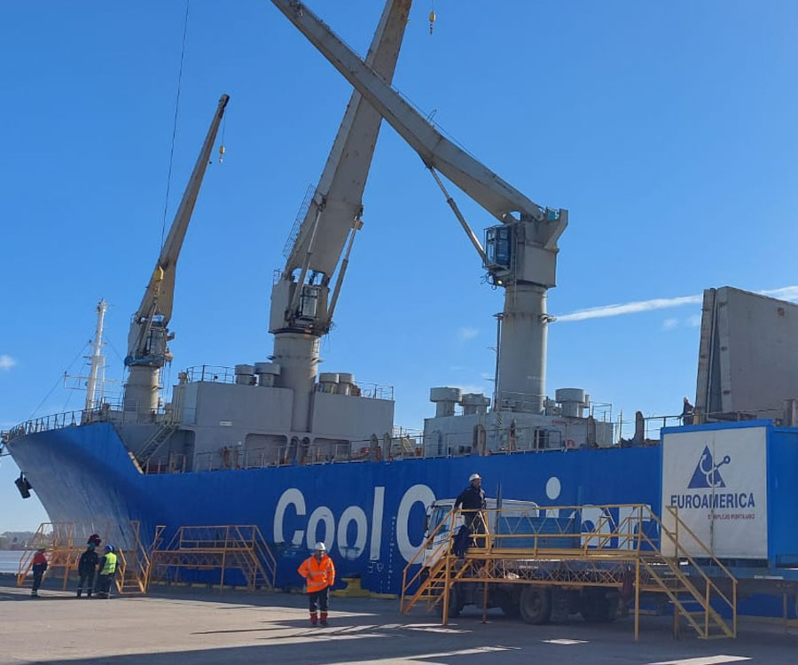 Campana: se concretó la primera exportación de limones a EE.UU. en bodega de buque