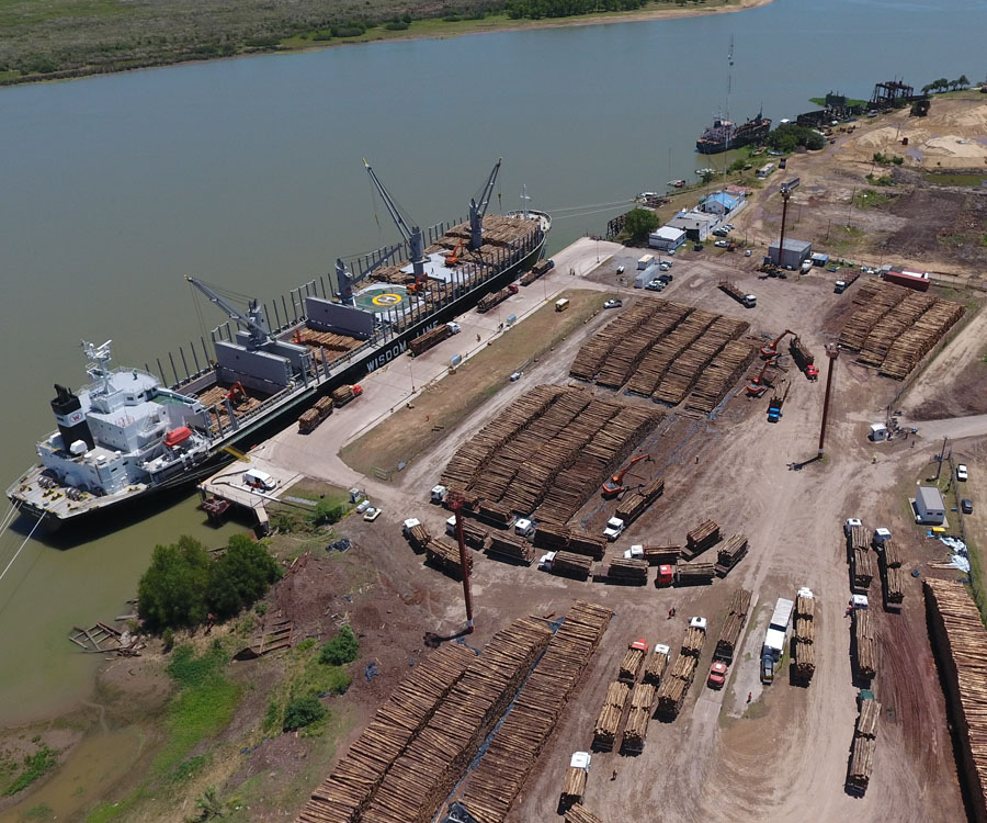 Gerdau destacó la profundidad natural y ubicación estratégica del puerto de Ibicuy