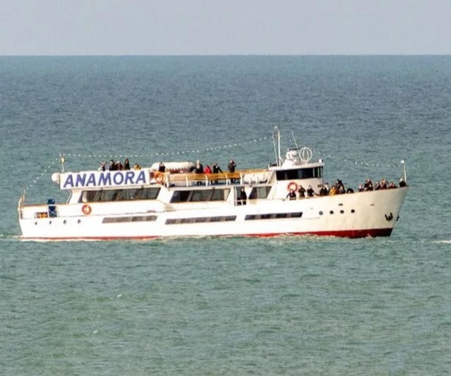 Mar del Plata: denuncian a un crucero y un velero por “acosar” a las ballenas