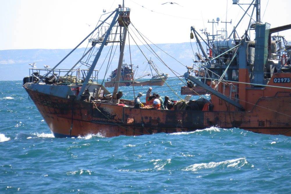 Polémica y conflicto por la decisión de Chubut de empezar a cobrar mañana el FAP