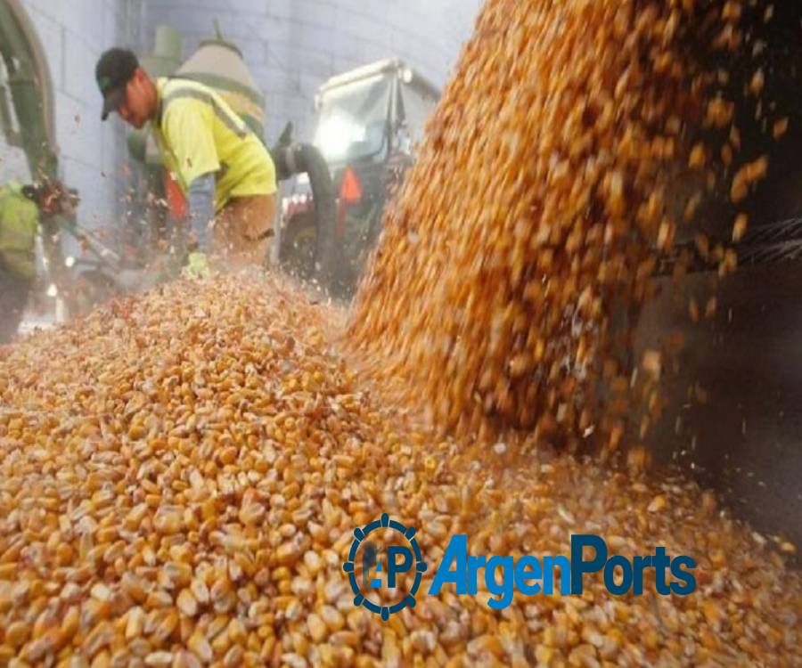 Los recibidores de granos festejan hoy su día