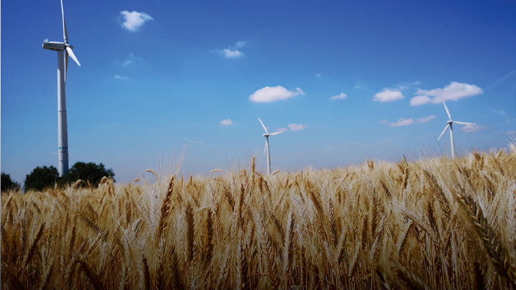 El 60% de la energía que consume Profertil en Bahía Blanca ya es de origen renovable