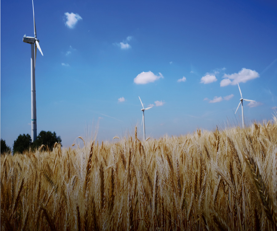 El 60% de la energía que consume Profertil en Bahía Blanca ya es de origen renovable