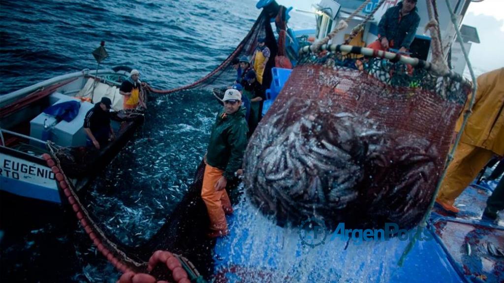 Prohíben la pesca de merluza en el frente marítimo argentino-uruguayo