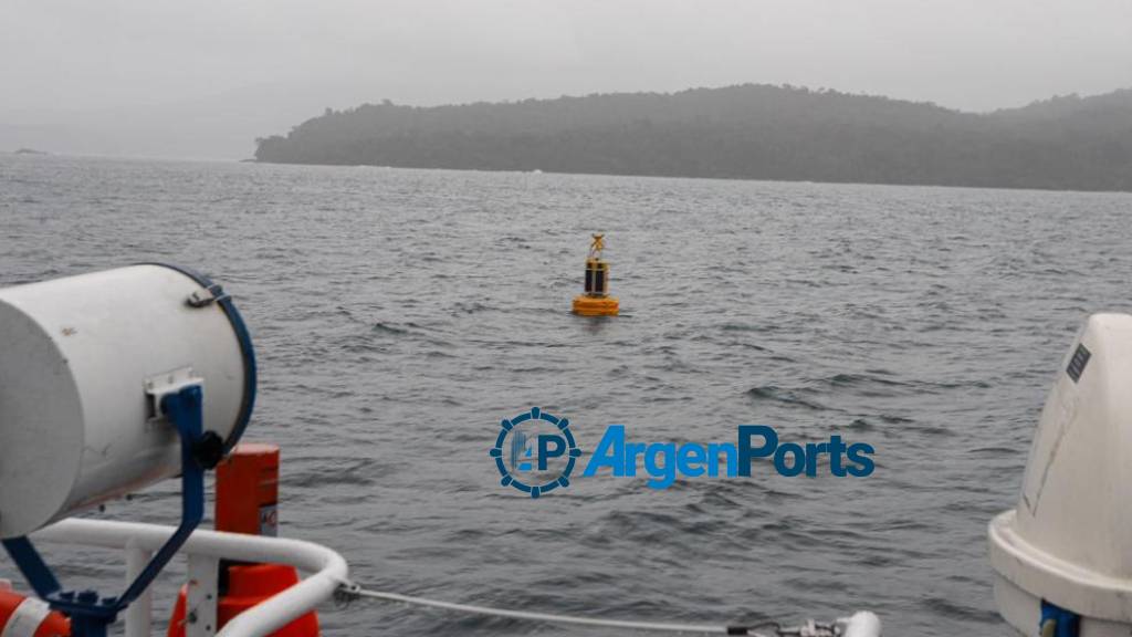 Video: instalan Chile la primera boya inteligente para proteger a las ballenas