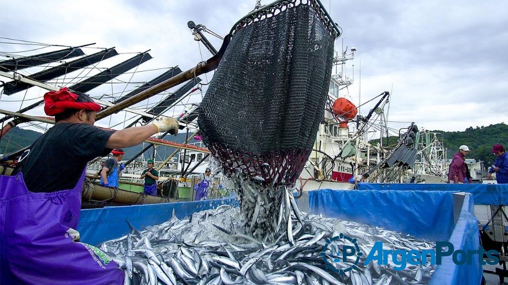 El Consejo Federal Pesquero fijó el máximo de captura para la caballa