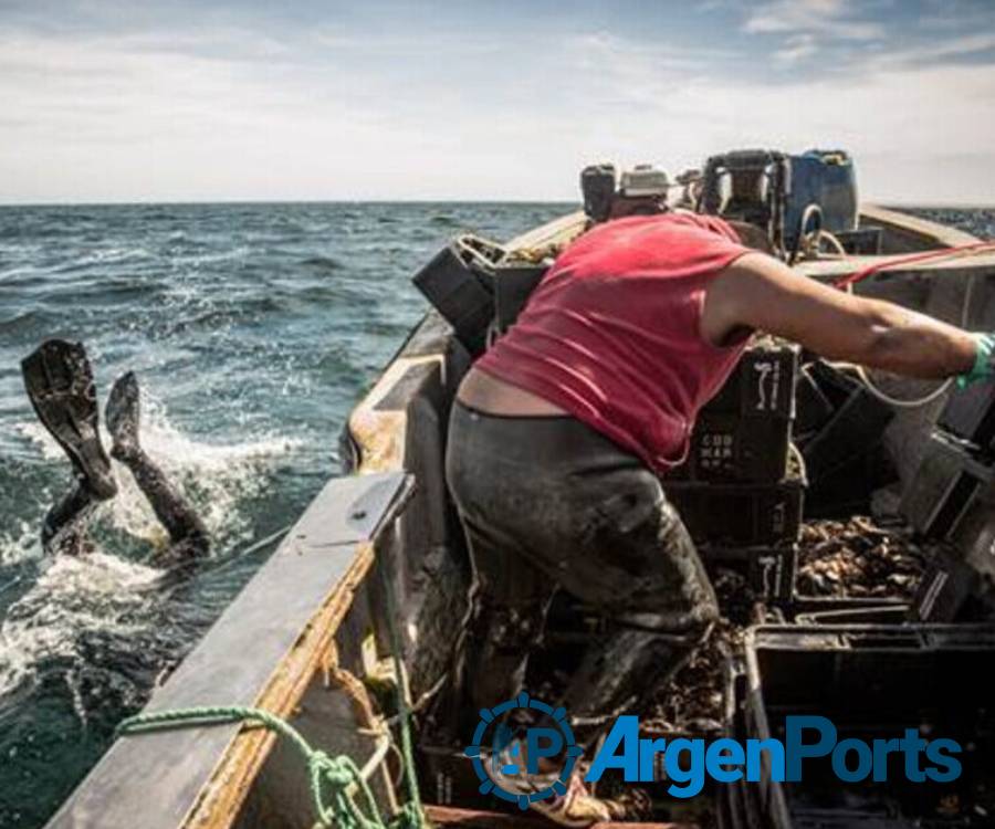 Preocupación en Madryn por el impacto de la marea roja en la pesca artesanal