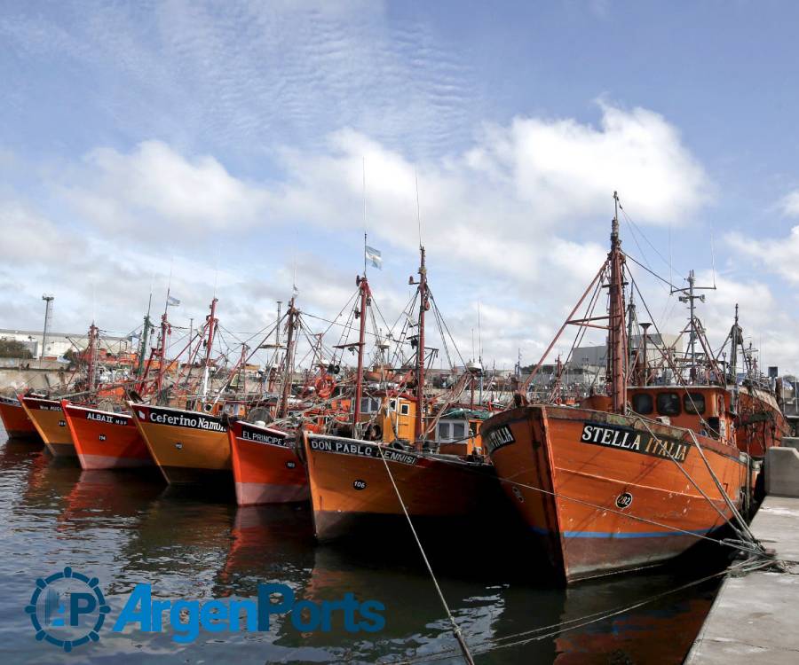 Mar del Plata: el Concejo Deliberante busca evitar la extinción de las lanchas amarillas