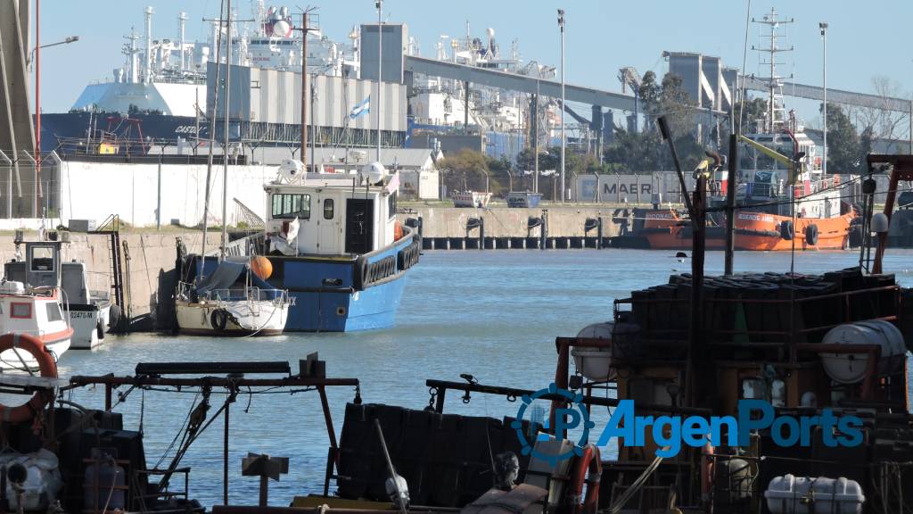 Los portuarios se sumaron al paro general del transporte, el martes 8