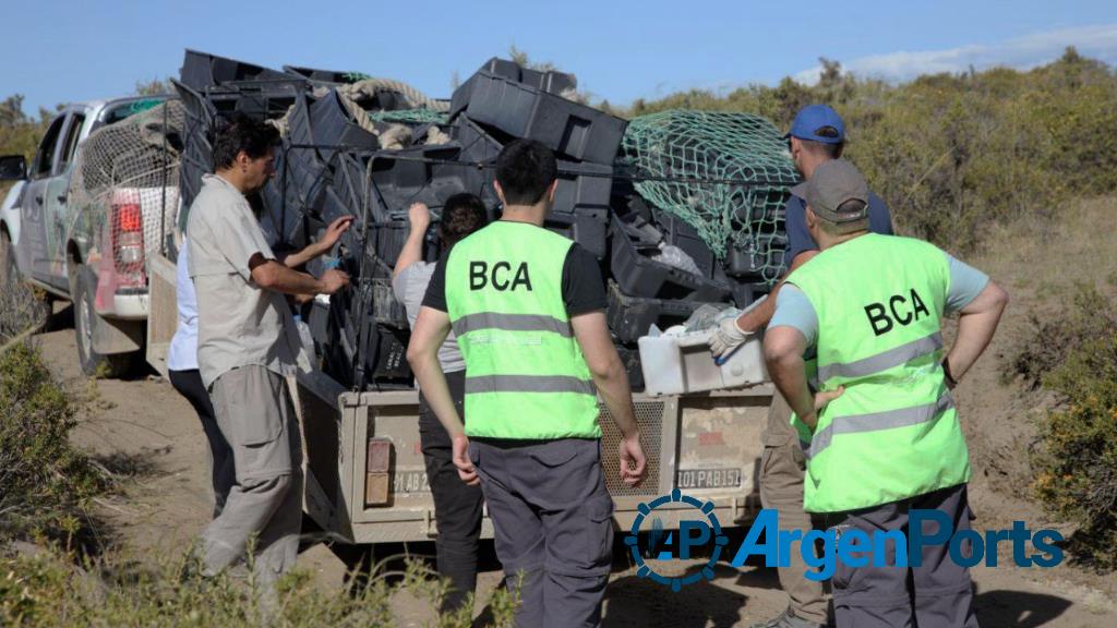 Realizan inspecciones vinculadas a la limpieza de residuos pesqueros en Península Valdés