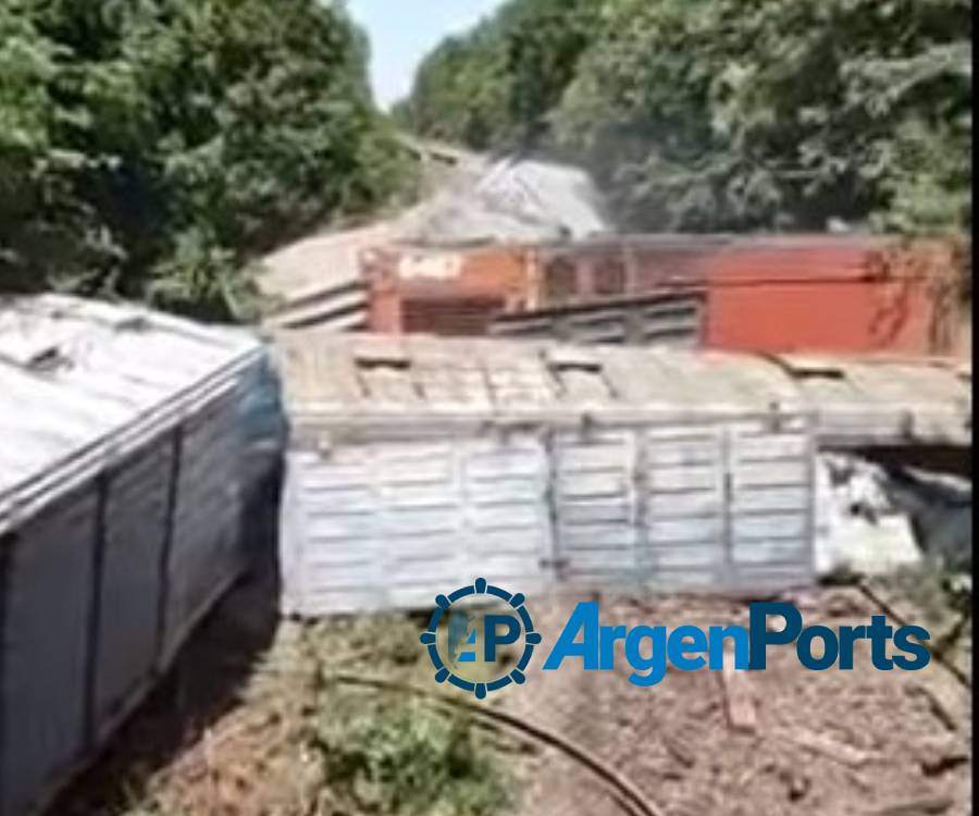 Video: grave descarrilamiento de una formación de Trenes Argentinos Cargas